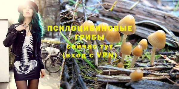 круглые Инта