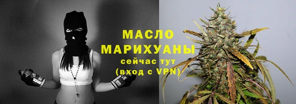 spice Каменка