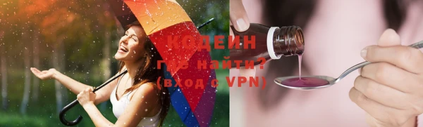 твердый Инсар