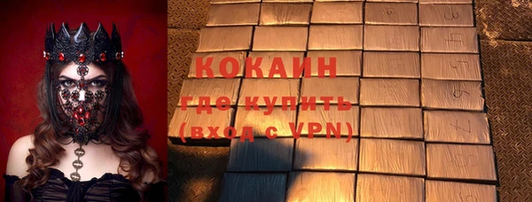 твердый Инсар