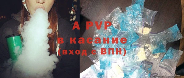 твердый Инсар