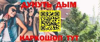 эйфоретик Аргун