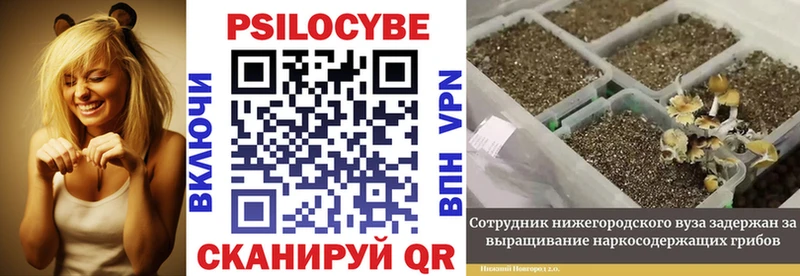 Псилоцибиновые грибы Magic Shrooms  МЕГА как войти  Архангельск 