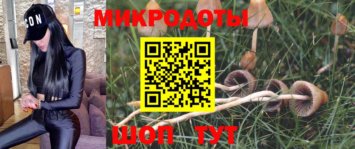 Псилоцибиновые грибы мухоморы  Архангельск 