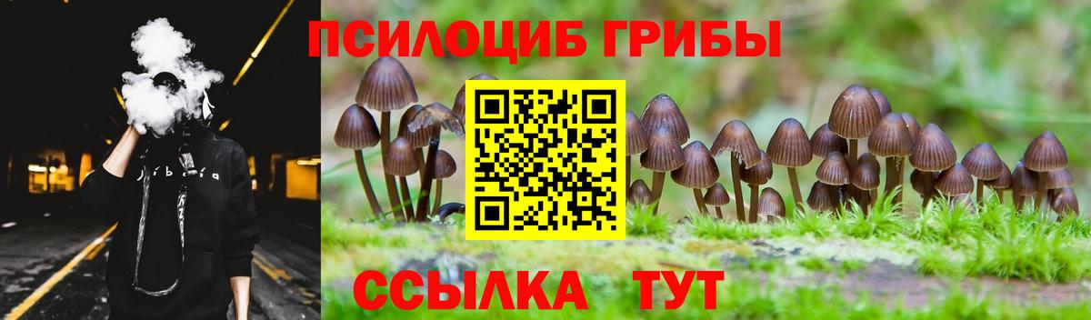 Галлюциногенные грибы Magic Shrooms Архангельск